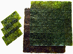 ALGA NORI