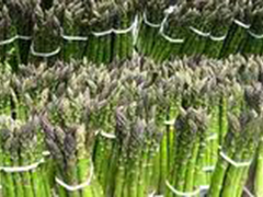 ASPARAGI