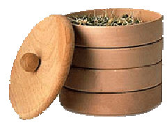 GERMOGLI 2