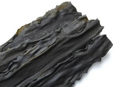 ALGA KOMBU