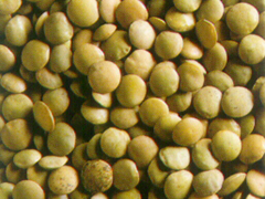 LENTICCHIE