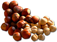 NOCCIOLE