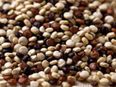 QUINOA