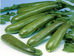 ZUCCHINE